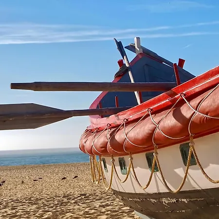 Serene Horizon - By Sch - D Nazaré